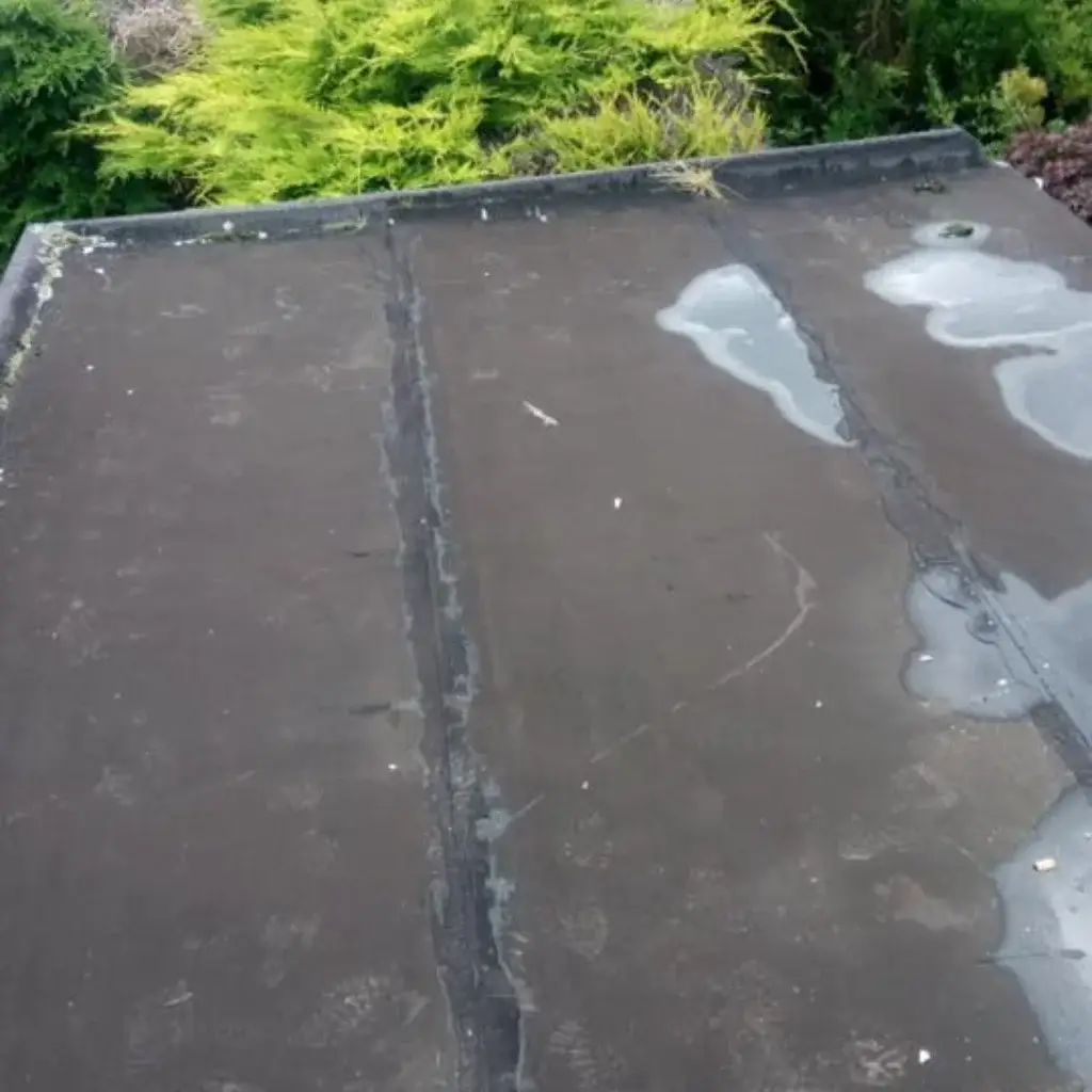 Liquid roof waterproofing service by MJ roofing